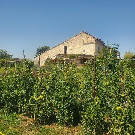Au Mas de Janita Cahuzac-sur-Vère Exterior foto