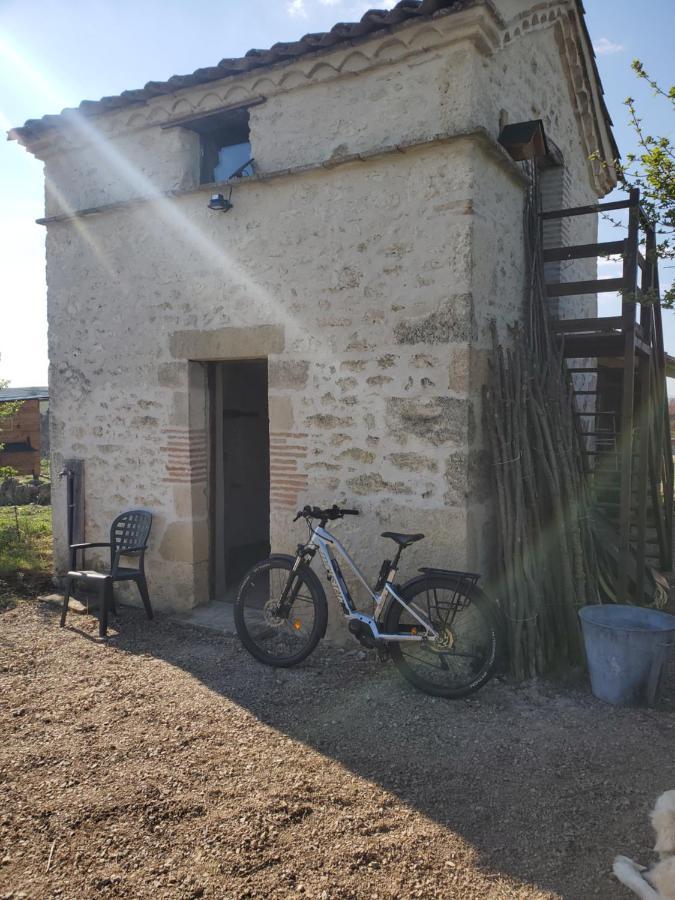 Au Mas de Janita Cahuzac-sur-Vère Exterior foto
