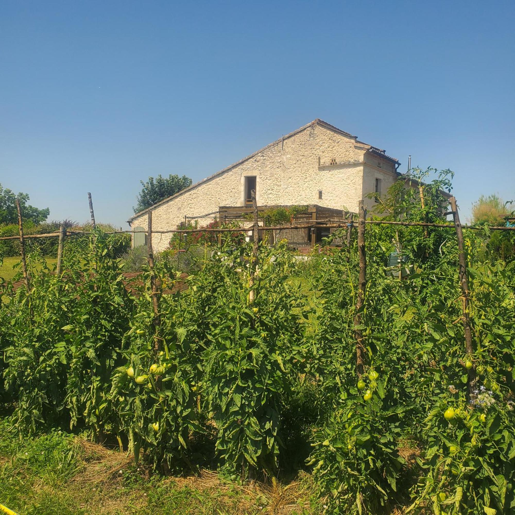 Au Mas de Janita Cahuzac-sur-Vère Exterior foto